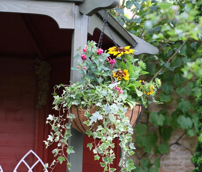Smart Hanging Basket
