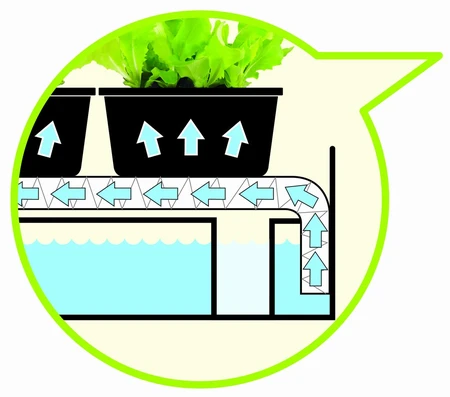 Micro Grow Light Propagator - image 4
