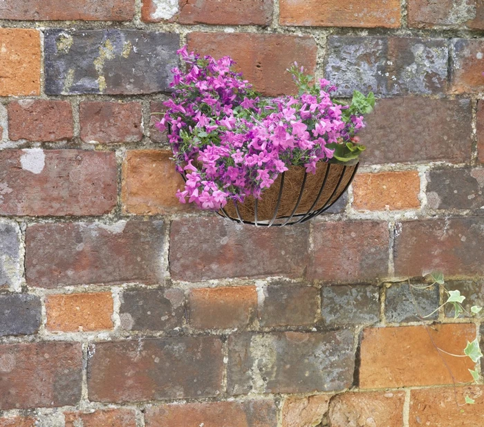 Smart Wall Basket