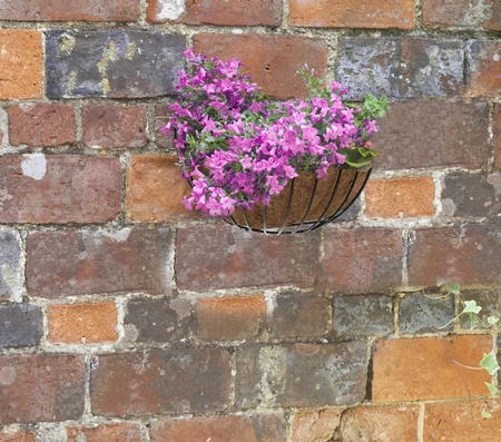 Smart Wall Basket