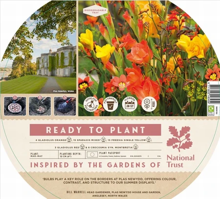 Ready to Plant Plas Newddy - image 1