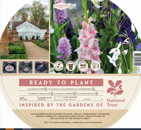 Ready to Plant Clumber Park - image 1