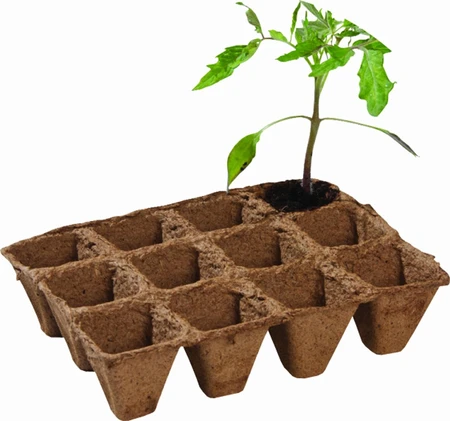 Fibre Pot Strips 36Pk