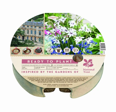 Ready to Plant Dyrham Park - image 1