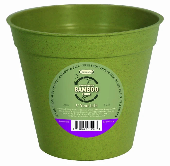 Bamboo Pot Sage