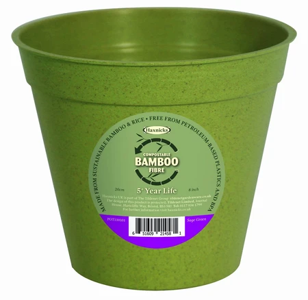 Bamboo Pot Sage