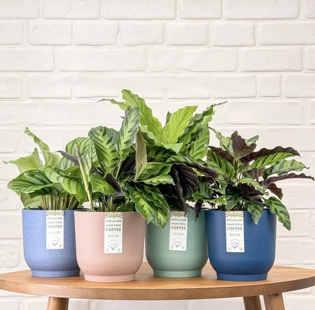 Ecomade DRK Blue Coffee 14cm