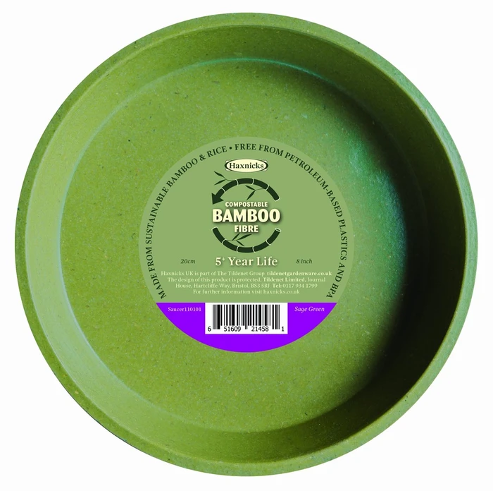 Bamboo Saucer Sage