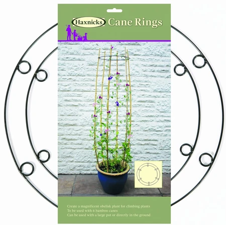 Metal Cane Rings