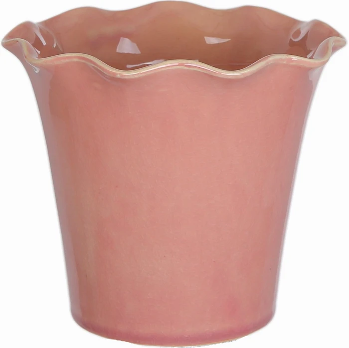 Cora Rose Pot 12CM - image 1
