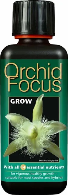 Orchid Focus Grow