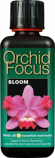 Orchid Focus Bloom