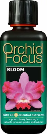 Orchid Focus Bloom