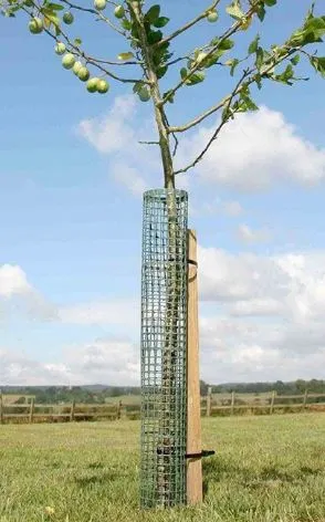 Flexi Mesh Treeguard