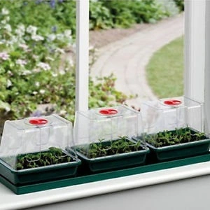 Three Top Windowsill Propagator - image 2