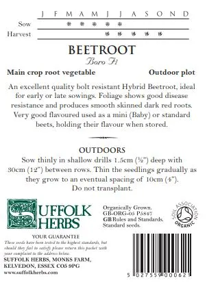 Beetroot Boro - image 2