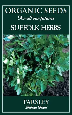 Parsley Italian Giant