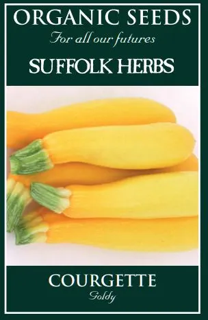 Courgette Goldy - image 1