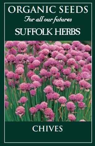 Chives - image 1