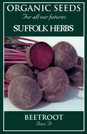 Beetroot Boro - image 1