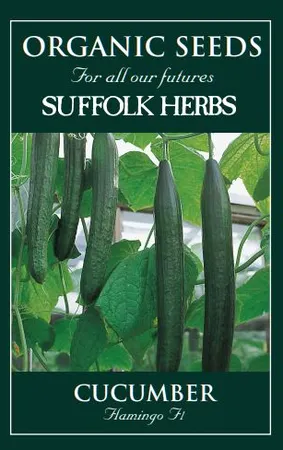 Cucumber Flamingo F1