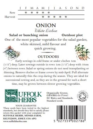 Onion Spring White Lisbon - image 2