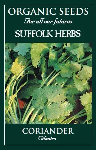Coriander Cilantro - image 1