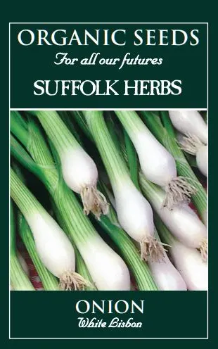 Onion Spring White Lisbon - image 1