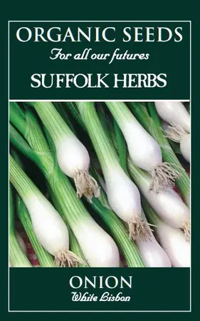 Onion Spring White Lisbon