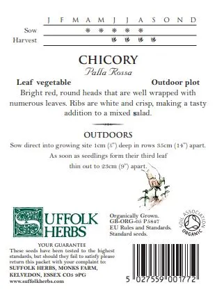 Chicory Palla Rossa - image 2