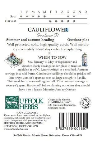Cauliflower Goodman - image 2