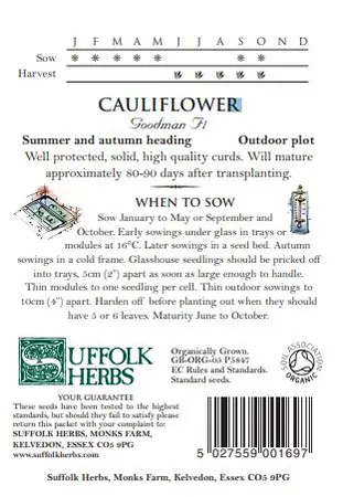 Cauliflower Goodman - image 2