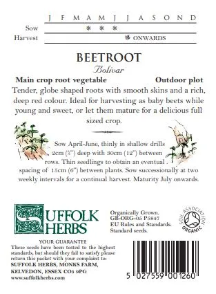 Beetroot Boliva - image 2