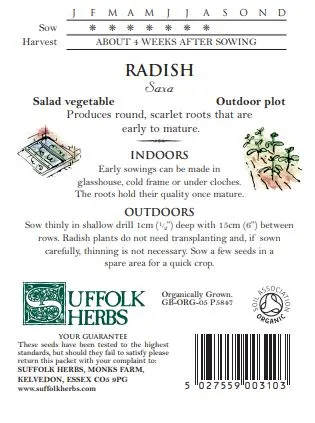 Radish Saxa - image 2