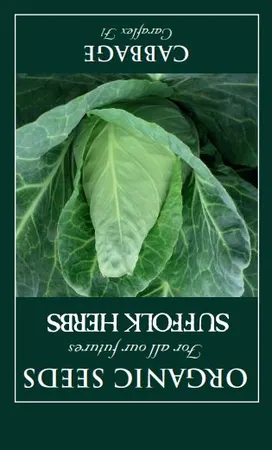 Cabbage Caraflex F1 - image 1