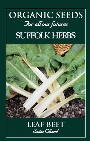 Beet Swiss Chard - image 1