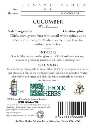 Cucumber Marketmore - image 2