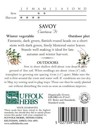 Cabbage Savoy Cantasa F1 - image 2