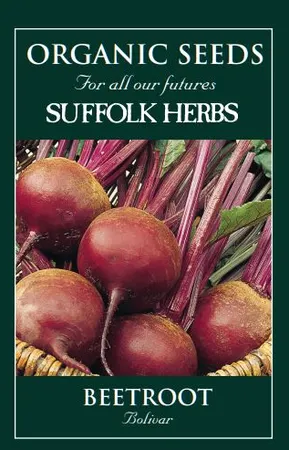 Beetroot Boliva - image 1