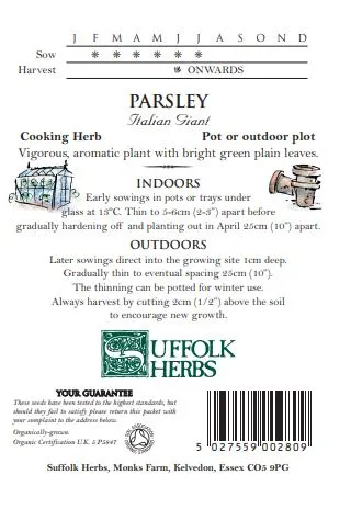 Parsley Italian Giant - image 2