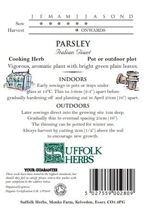 Parsley Italian Giant - image 2