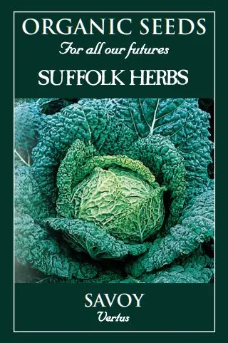 Cabbage Savoy Vertus - image 1