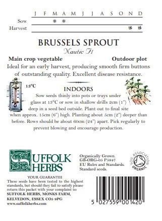 Brussels Sprout Nautic F1 - image 2