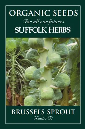 Brussels Sprout Nautic F1 - image 1