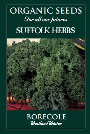 Kale Westland Winter - image 1