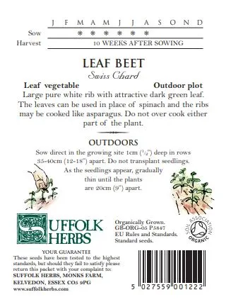 Beet Swiss Chard - image 2