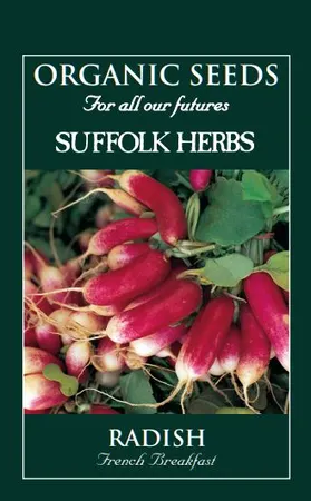 Radish French Breakfast