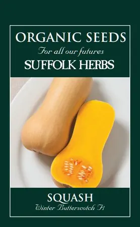 Squash Waltham Winter Butternut - image 1