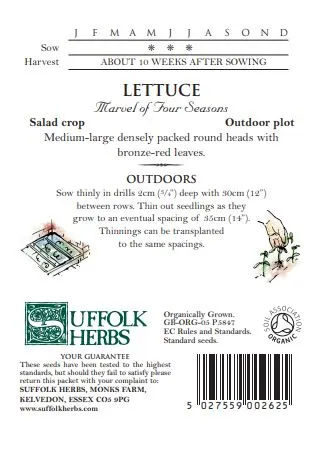 Lettuce Marvel Of Four Seasons - image 2