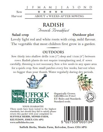 Radish French Breakfast - image 2